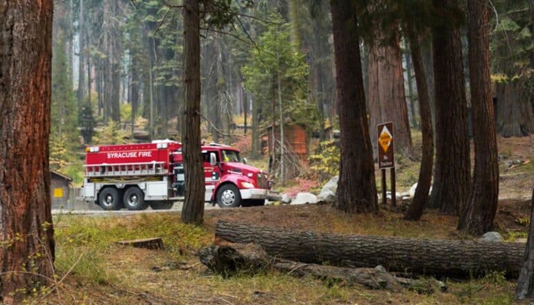 Dead trees on forest floor helped fuel Sierra Nevada fire