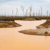 Muddied tropical rivers reveal magnitude of global gold mining boom: Study