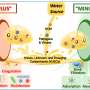 New water treatment approach helps to avoid harmful chemicals