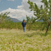 Battling desertification: Bringing soil back to life in semiarid Spain