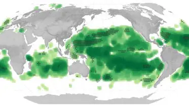 A Sea of Change: Climate Change Is Shifting Our Oceans From Blue to Green