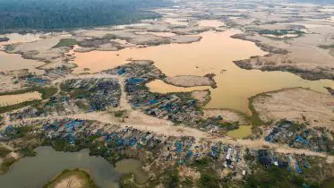 Operation Mercury vs. Gold Fever: Peru’s Tug-of-War in the Amazon With a Pandemic Twist