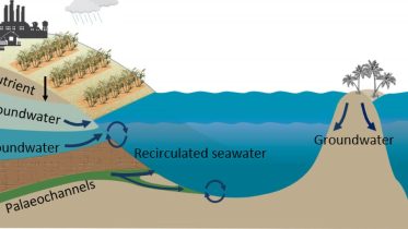 Scientists Discover Hidden Threat to the Great Barrier Reef