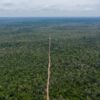 Logging route cut into Cambodia’s Prey Lang from Think Biotech’s concession