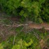 Communities track a path of destruction through a Cambodian wildlife sanctuary