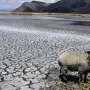 Climate change main culprit for hot South American winter