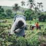 Researchers: Traditional farming knowledge should be stored for future use. The technology to do this is available