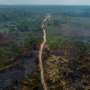 Deforestation down in Brazil’s Amazon