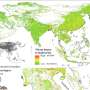 Human expansion found to pose widespread threat to biodiversity in Asia, especially in Southeast Asia