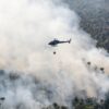 People and nature suffer as historic drought fuels calamitous Amazon fires