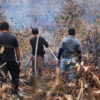 Young firefighter killed battling inferno in Borneo orangutan habitat