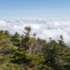 Up in the air: Study finds microplastics in high-altitude cloud water