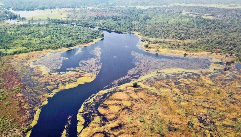 Why the Ruki river has black water