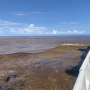 Study clearly identifies nutrients as a driver of the Great Atlantic Sargassum Belt