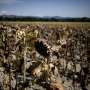 Climate ‘countdown clock’ report launched ahead of key UN talks