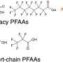 ‘Ultrashort’ PFAS compounds detected in people and their homes