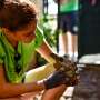 Injured tortoises make slow recovery from Greece fires