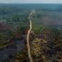 Deforestation in Brazilian Amazon down 22% in a year