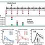 Inhaled monoclonal antibodies found to be protective against COVID-19, show promise for at-home aerosolized therapy