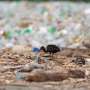 Battle looms over renewed plastic treaty negotiations