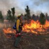 As insurers stop covering prescribed burns, states and communities step up