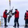 Researchers recover deep-sea diving probe that measures ocean carbon from Southern Ocean