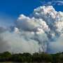 ‘Out of control’ fires endanger wildlife in Brazilian wetlands