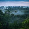 Least-studied areas of Brazilian Amazon at high risk from climate change