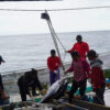 With Indonesia’s new fishing policy starting soon, fishers still mostly unaware