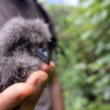 How a group in Ecuador protects 10% of the world’s bird species