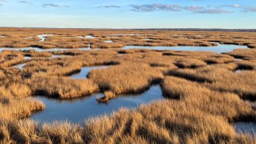 The Great Sediment Shortfall: Why Rivers Can’t Rescue Coastal Wetlands