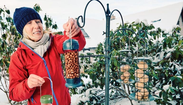 Bird feeding is important to another species: humans