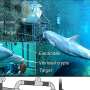 Bottlenose dolphins can sense electric fields, study shows