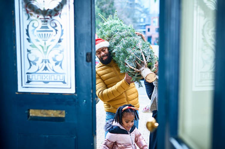 Real or artificial? A forestry scientist explains how to choose the most sustainable Christmas tree, no matter what it’s made of