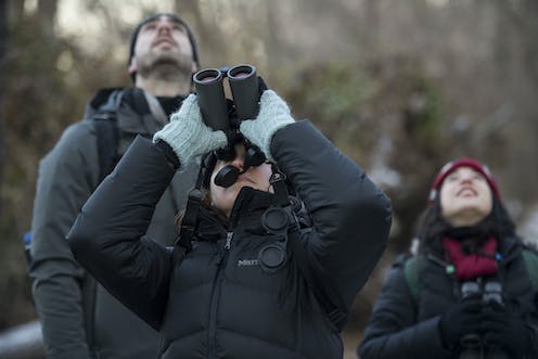 Every name tells a story – here’s why dozens of North American bird species are getting new ones