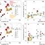 Northeast China faces high levels of nitrogen pollution, study finds