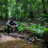 World Economic Forum features Mongabay’s work