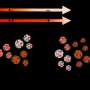 Silent carriers: Long-standing SARS-CoV-2 RNA in respiratory vesicles