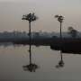 Deforestation hits record low in Brazilian Amazon in November