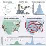 Social distancing was more effective at preventing local COVID-19 transmission than international border closures: Study