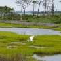 Indiana wetlands bill garners praise, criticism as it heads to governor’s desk