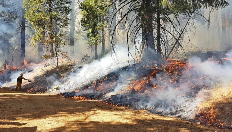 There’s more than one way to cut wildfire risk