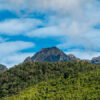 Forest restoration planned for Colombia’s Farallones de Cali National Park