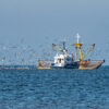 Carbon catch and release: Study finds bottom trawlers stir up seabed CO2