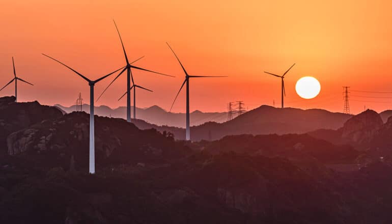 Feathers from dead birds shed light on renewable power threat