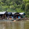 Illegal gold mining devastates Peruvian Amazon river and communities