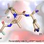 Improving antiviral medication for COVID-19 to give more patients access to treatment