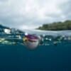 New AI model helps detect and identify microplastics in wastewater