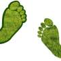 Researchers develop a more precise carbon footprint measurement method