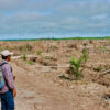 Critics decry controversial bill that loosens deforestation restrictions in Peru